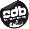 Culture de banlieue